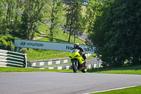 Lower Group Yellow Bikes